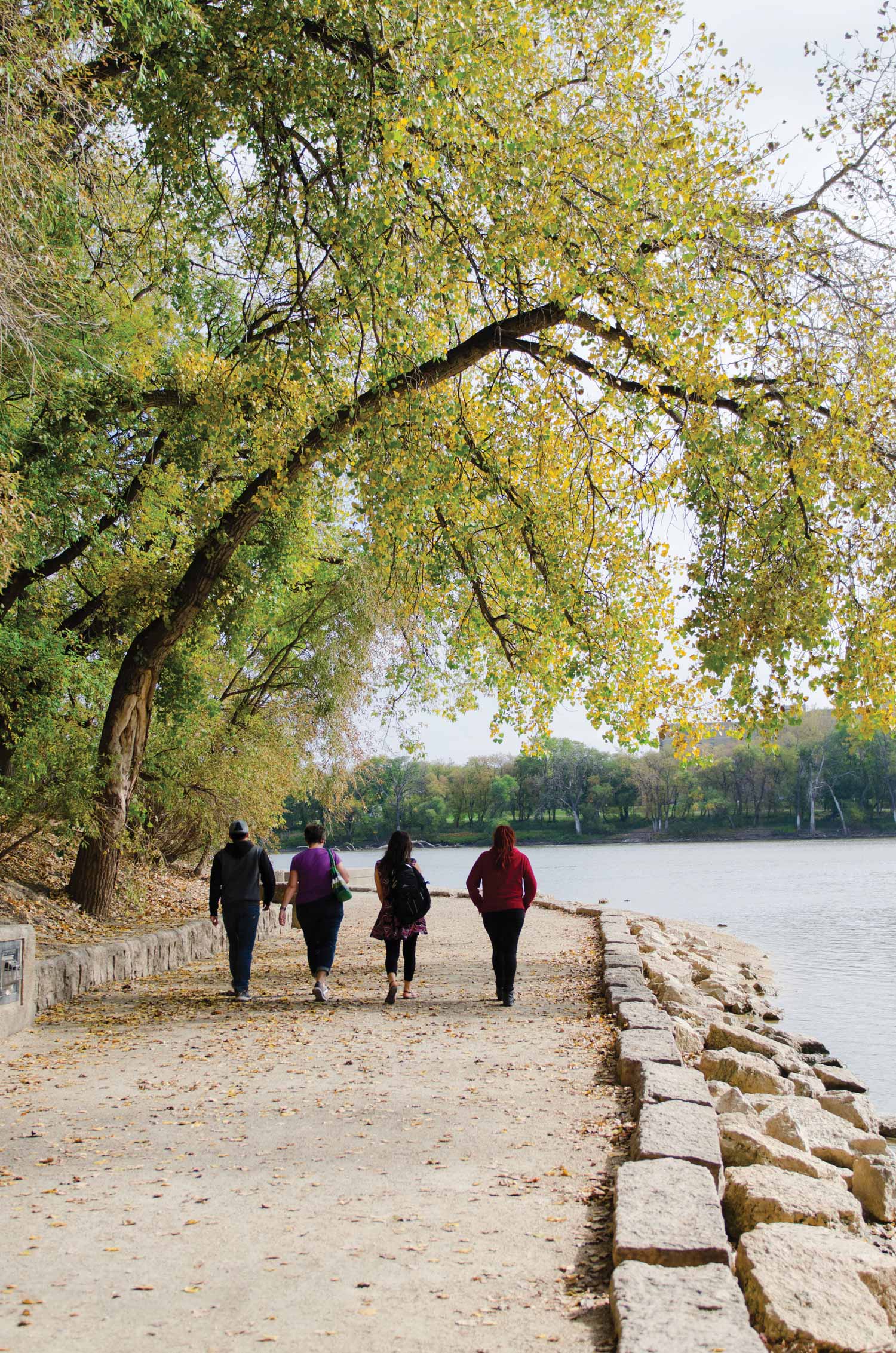 Four people walking on a raised path alongside a river, separated by large stone bricks. A large tree arches over them.
